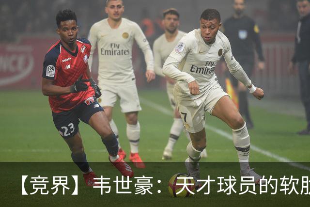 【竞界】韦世豪：天才球员的软肋 洪七公效应的外溢
